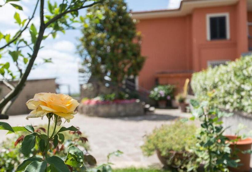 Bed And Breakfast Nonna Loreta