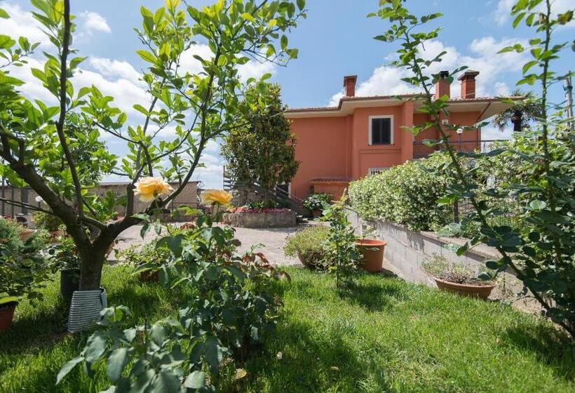 Bed And Breakfast Nonna Loreta