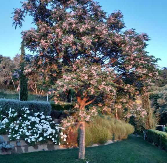 צימר Piccolo Relais Galletto Di Marzo Spa E Relax Solo Per Due