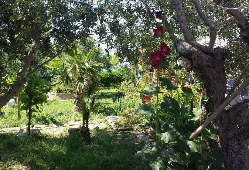 住宿加早餐  Villa Malandrino Guest House