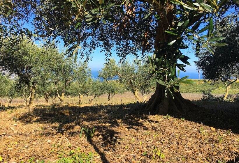 مبيت وإفطار Villa Panoramica Sul Mare