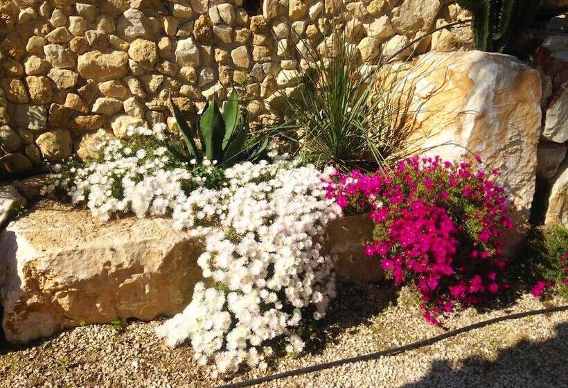 住宿加早餐  Villa Panoramica Sul Mare