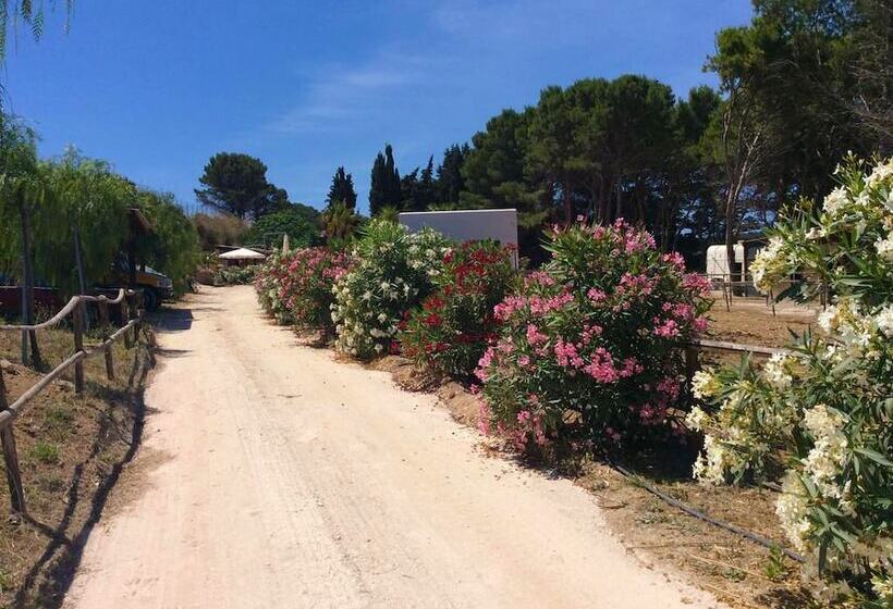 Bed and Breakfast Villa Panoramica Sul Mare