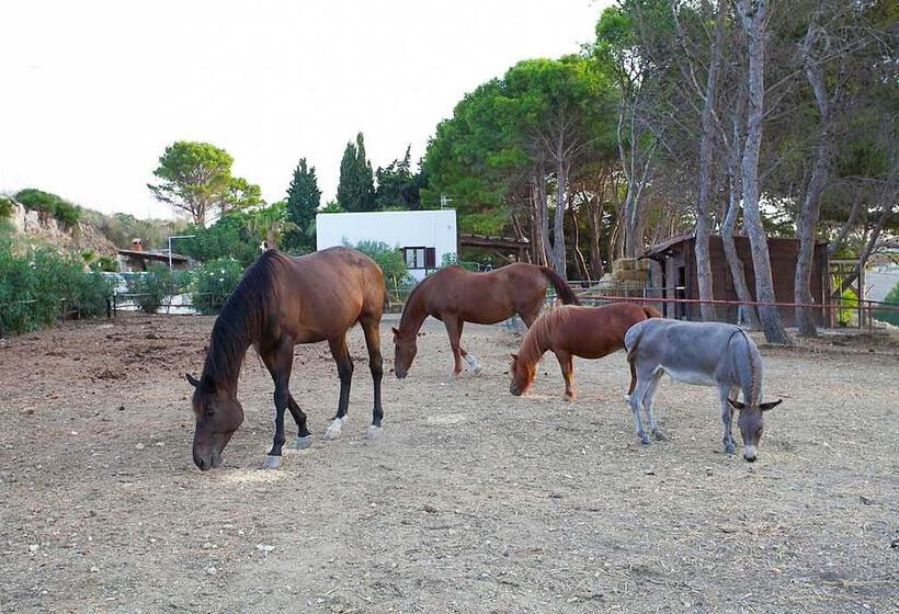 Bed and Breakfast Villa Panoramica Sul Mare