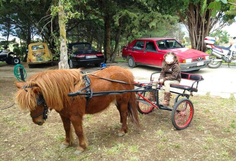 住宿加早餐  Villa Panoramica Sul Mare