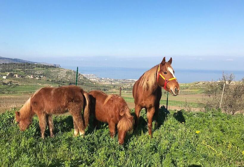 住宿加早餐  Villa Panoramica Sul Mare