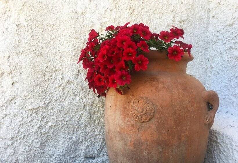 Bed and Breakfast Villa Panoramica Sul Mare