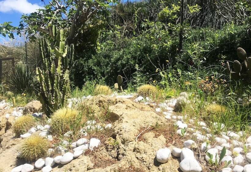 Bed and Breakfast Villa Panoramica Sul Mare