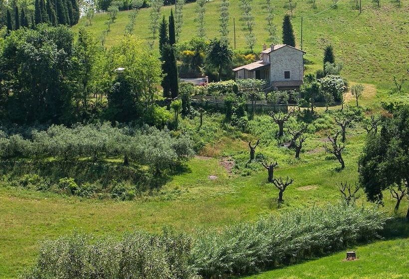 Хостел Villa Melagrana