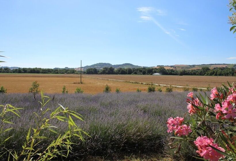 田舎風ホテル Agriturismo Bassarì