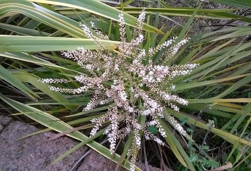 田舎風ホテル Agriturismo Bassarì