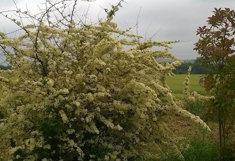 田舎風ホテル Agriturismo Bassarì