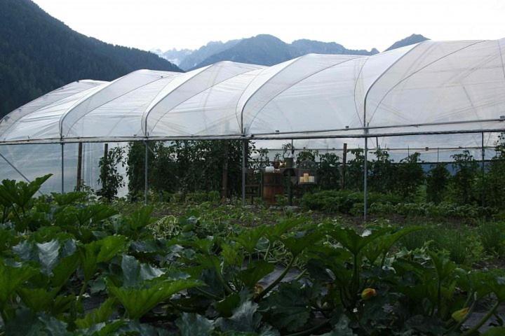 בית מלון כפרי Agriturismo Casa Al Campo