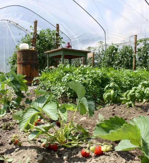 בית מלון כפרי Agriturismo Casa Al Campo