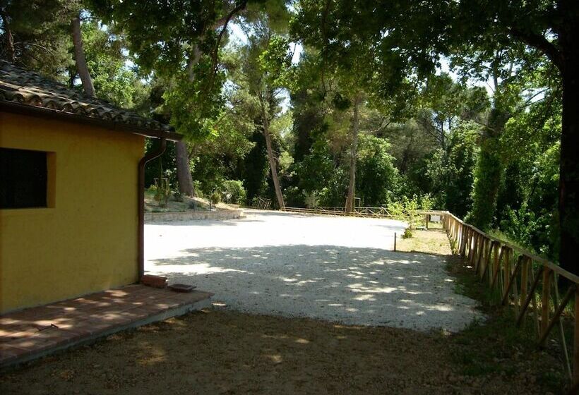 בית מלון כפרי Agriturismo I Getsemani