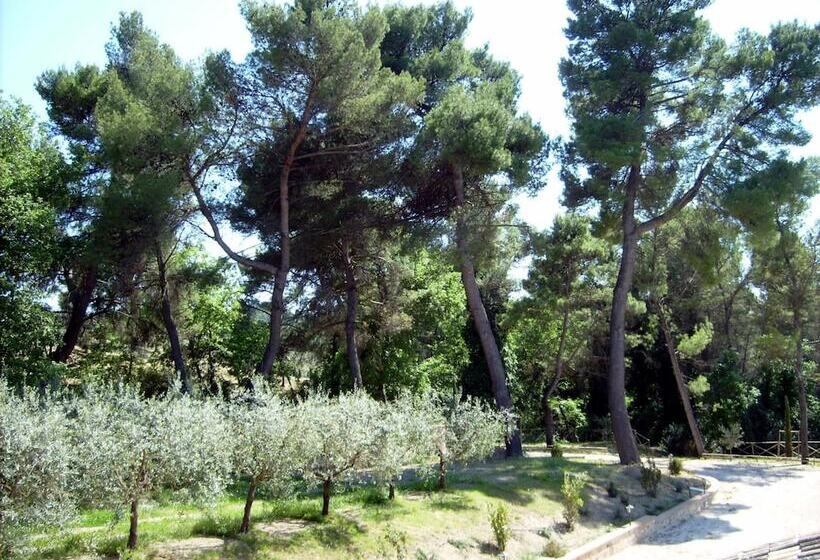 בית מלון כפרי Agriturismo I Getsemani