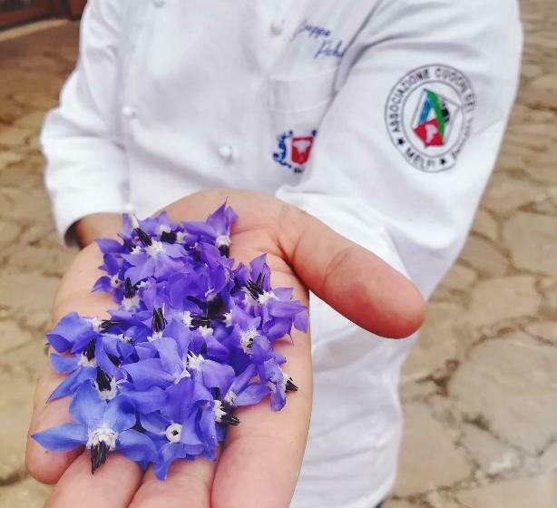 هتل روستایی Agriturismo Il Riccio