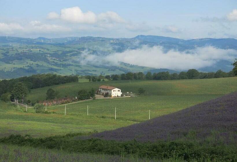 هتل روستایی Agriturismo Il Riccio