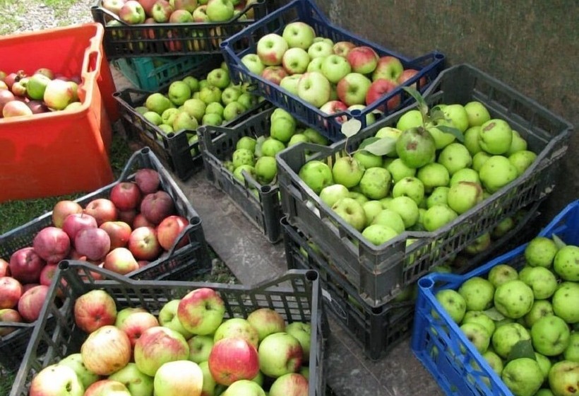 Сельский отель Agriturismo Il Vecchio Fienile