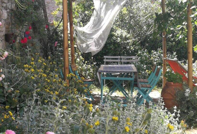 فندق ريفى Bioagriturismo Podere Montisi