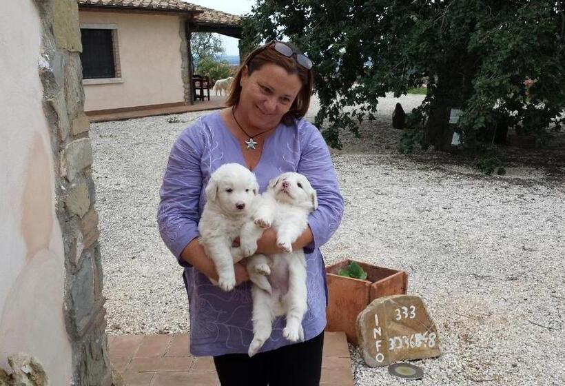 هتل روستایی Poggio Al Vento