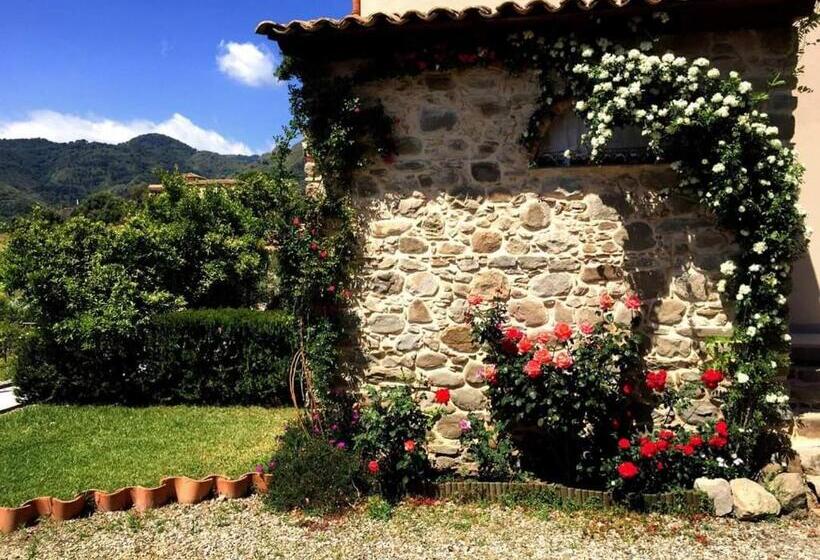 Сельский отель Tenuta Edone  Country House