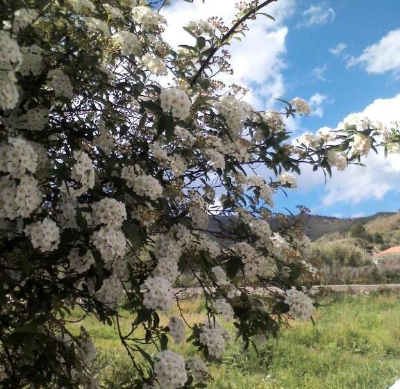 Сельский отель Tenuta Edone  Country House