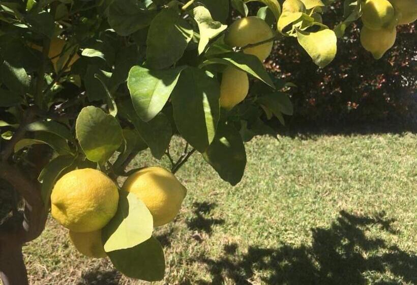 Сельский отель Tenuta Edone  Country House