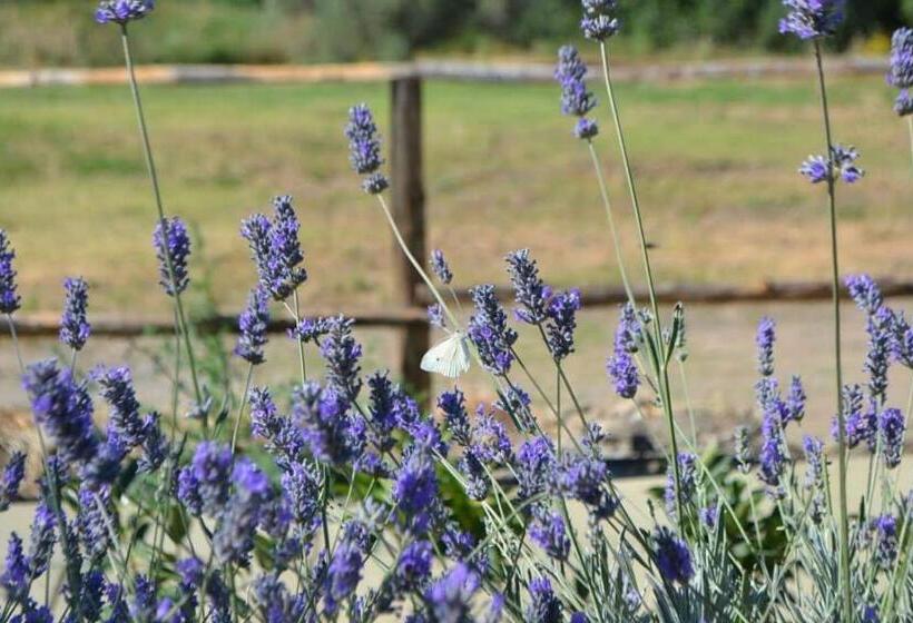 Сельский отель Tenuta Edone  Country House