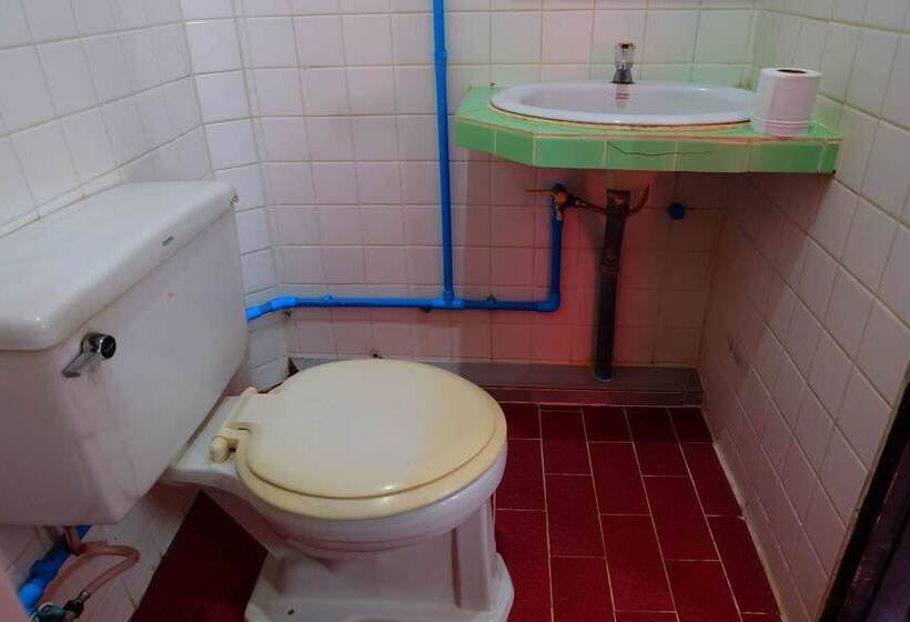 호텔 Thairungruang Backpackers Suratthani