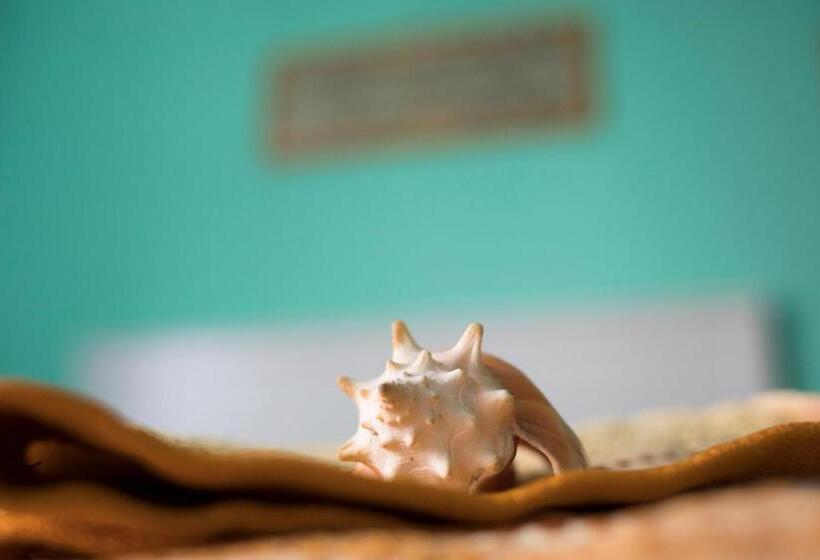 פנסיון B&b Miroca