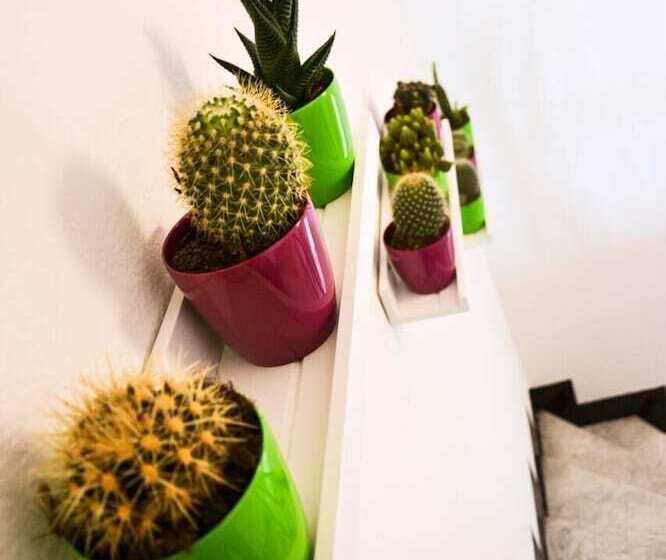 بنسيون Ficurinia Guest House