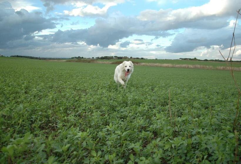 پانسیون Le Anfore