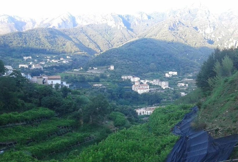 פנסיון Villa Bianca