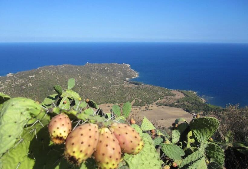 צימר I Fenicotteri