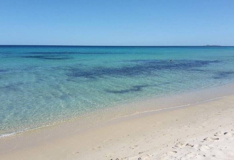 צימר I Fenicotteri