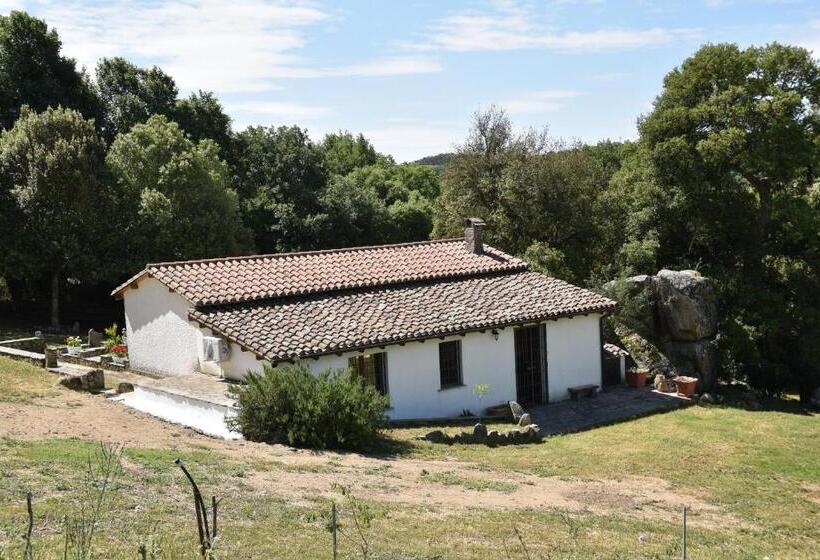 B&b I Menhir