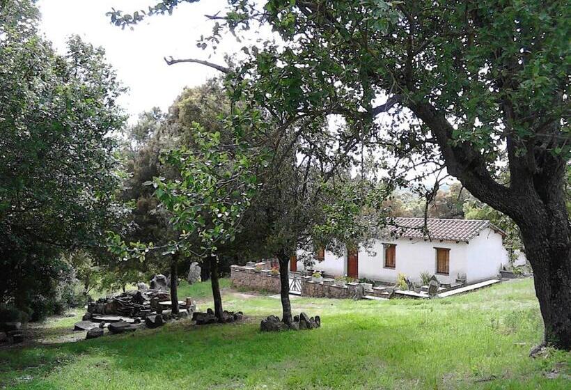 B&b I Menhir