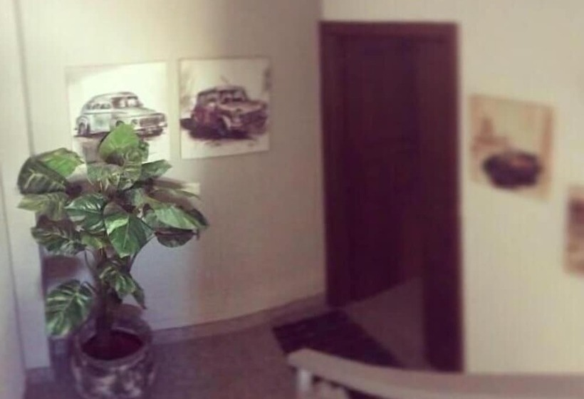 Bed and Breakfast Lolly