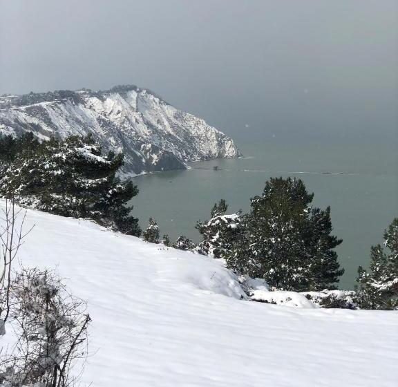 B&b Villa Fioreconero