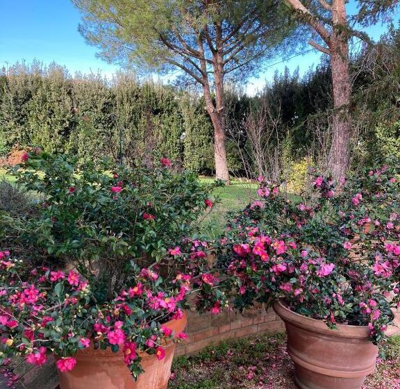 B&b Villa Fioreconero