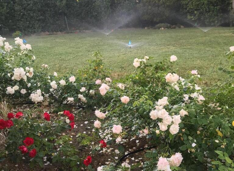 B&b Villa Fioreconero