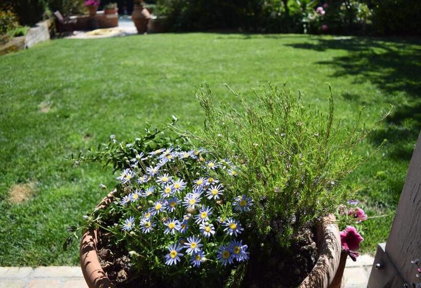 B&b Villa Fioreconero