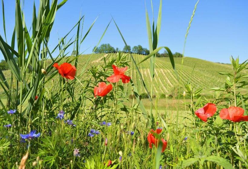 مبيت وإفطار Bed & Tours Dimora Di Campagna