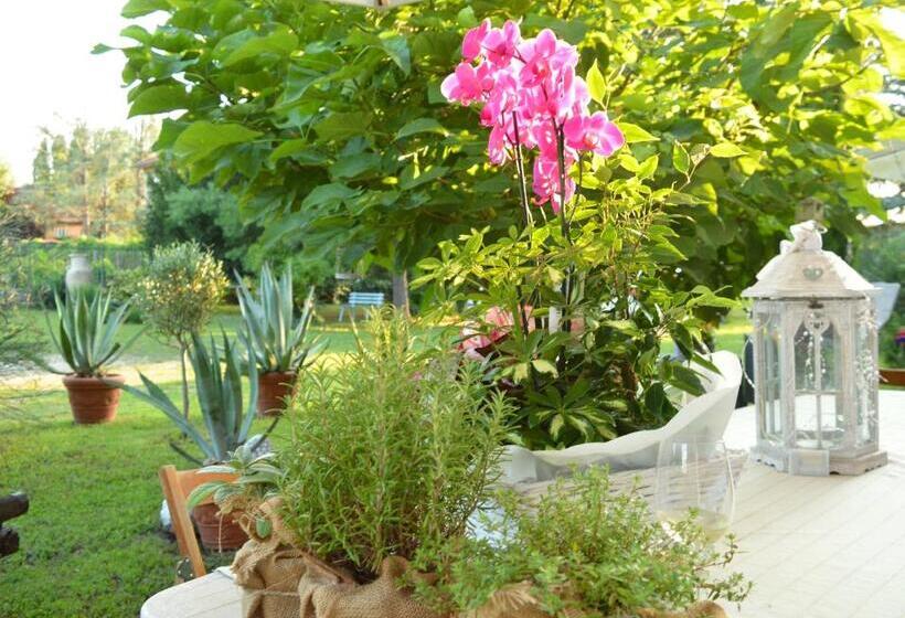 مبيت وإفطار Bed & Tours Dimora Di Campagna