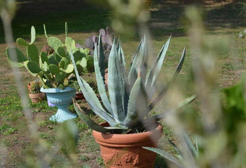 민박 Bed & Tours Dimora Di Campagna