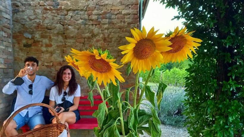 민박 Bed & Tours Dimora Di Campagna