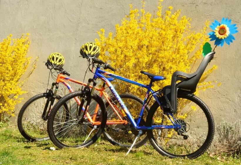 مبيت وإفطار Bed & Tours Dimora Di Campagna