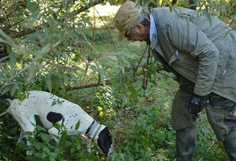 민박 Bed & Tours Dimora Di Campagna