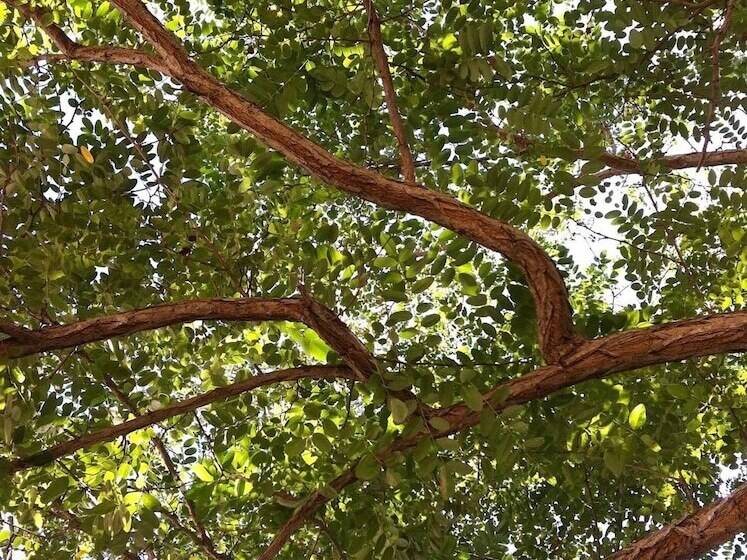 צימר Fuoridalguscio